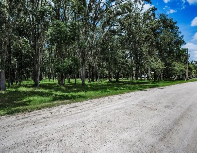 4635 COBB ROAD Land O Lakes, FL 34638