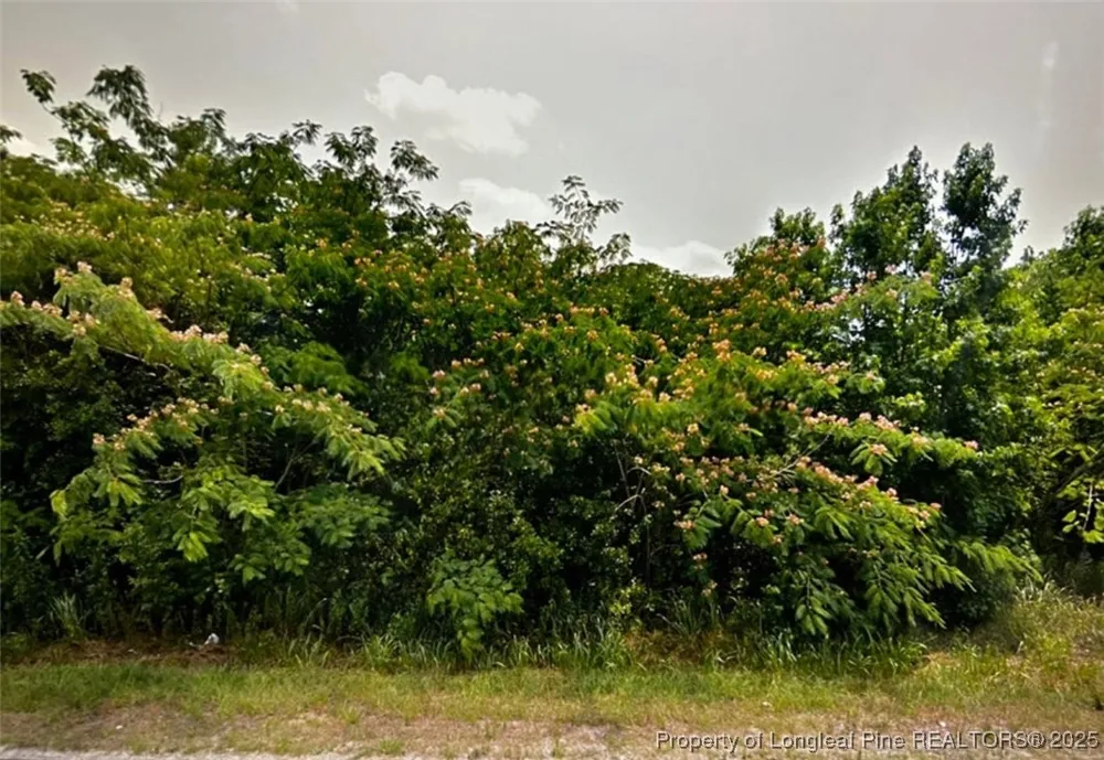 S Robeson Road Rowland, NC 28383