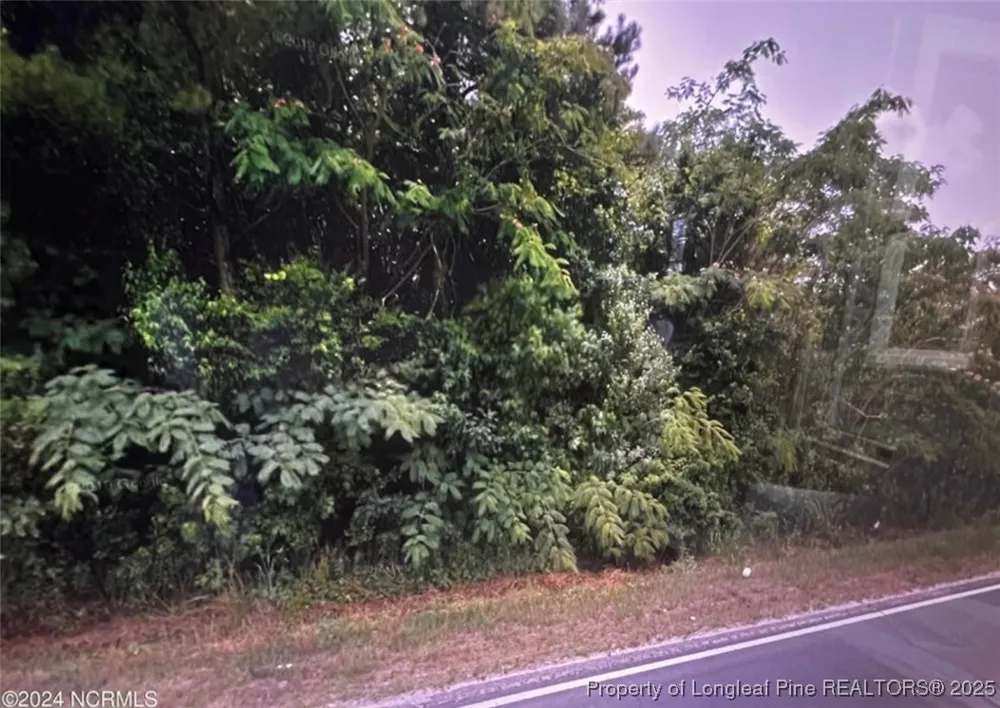 S Robeson Road Rowland, NC 28383