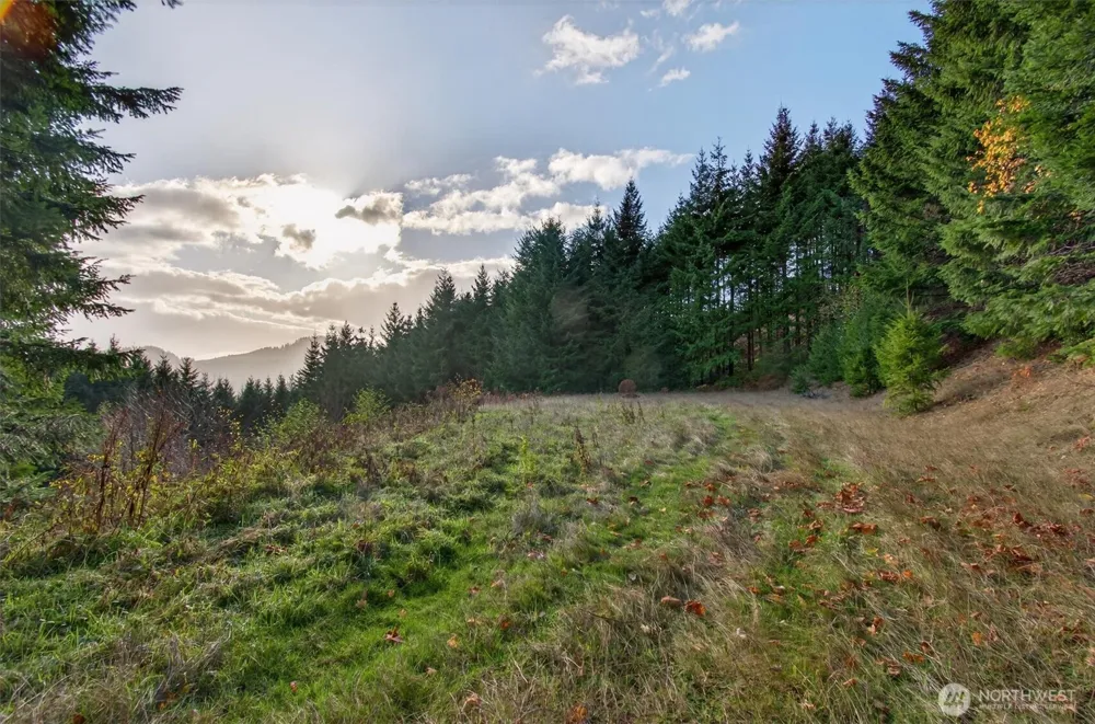 0 Knightsbridge Road Amboy, WA 98603