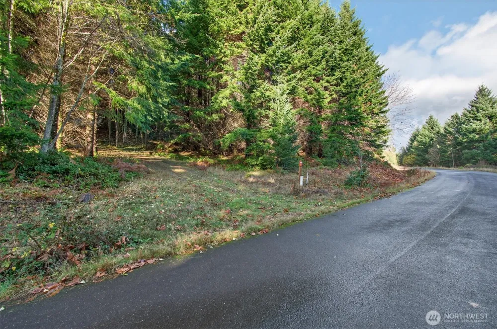 0 Knightsbridge Road Amboy, WA 98603