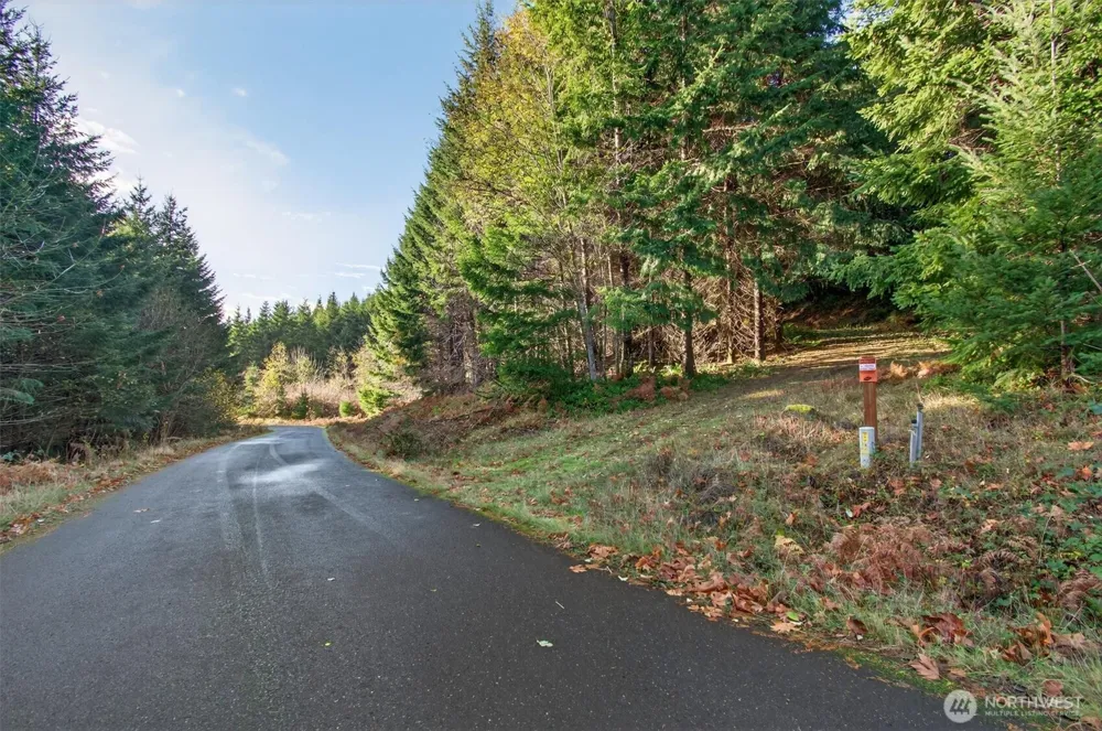 0 Knightsbridge Road Amboy, WA 98603