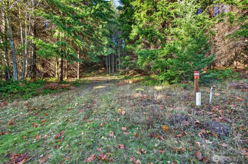 0 Knightsbridge Road Amboy, WA 98603