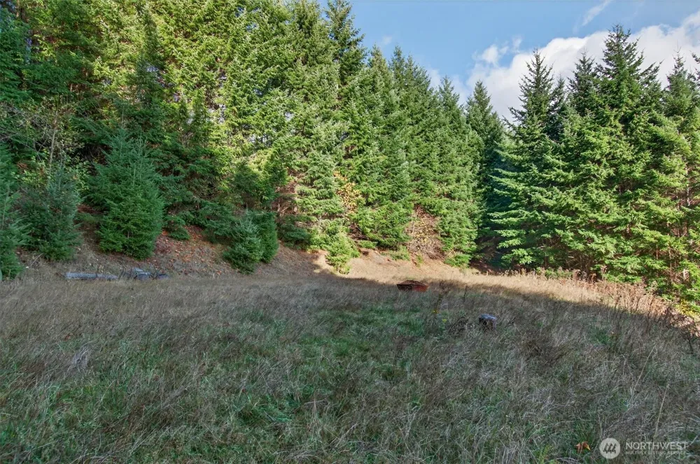 0 Knightsbridge Road Amboy, WA 98603