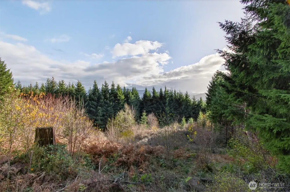 0 Knightsbridge Road Amboy, WA 98603