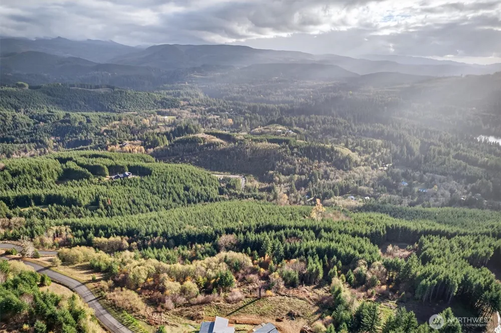 0 Knightsbridge Road Amboy, WA 98603