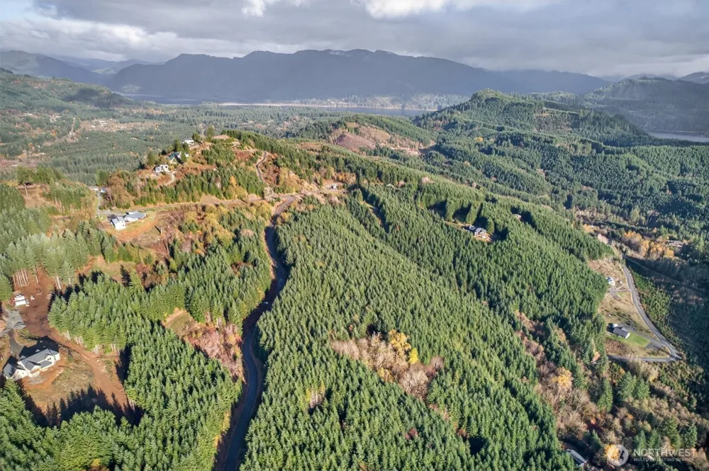 0 Knightsbridge Road Amboy, WA 98603