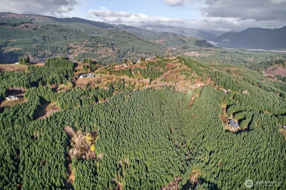 0 Knightsbridge Road Amboy, WA 98603