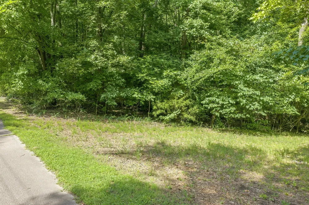 0 Fawn Ridge Rd Parsons, TN 38363