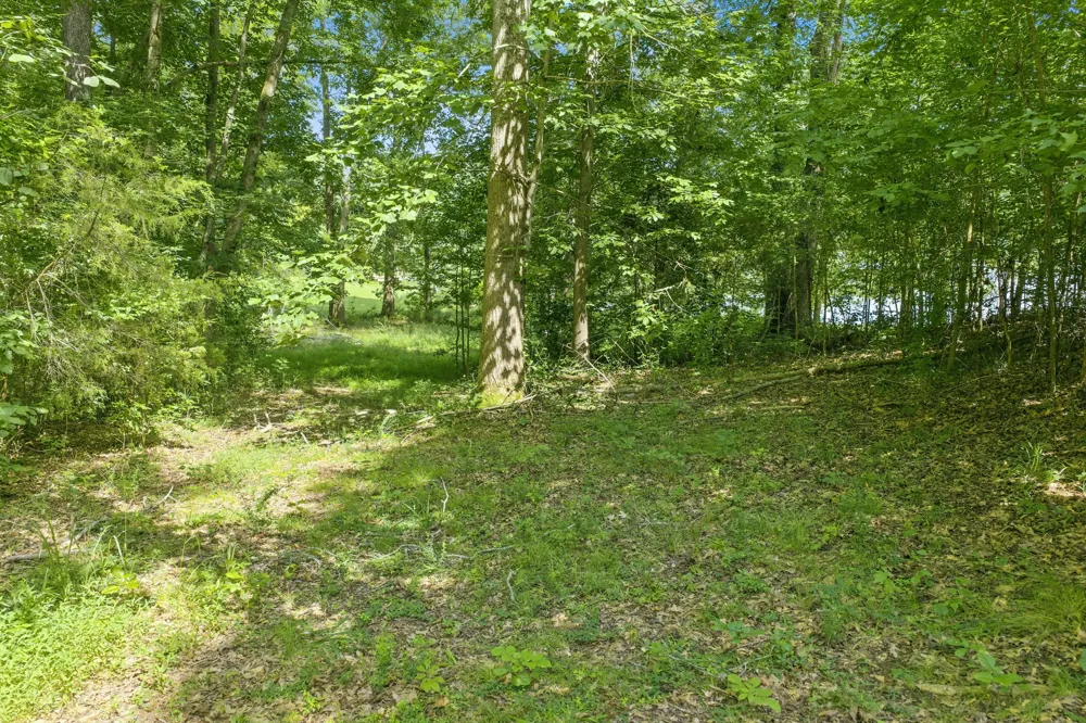 0 Fawn Ridge Rd Parsons, TN 38363