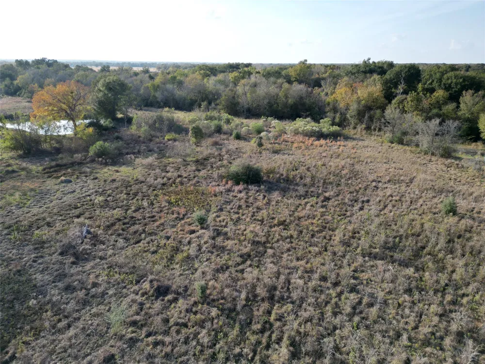 10 Mustang Loop Madisonville, TX 77864