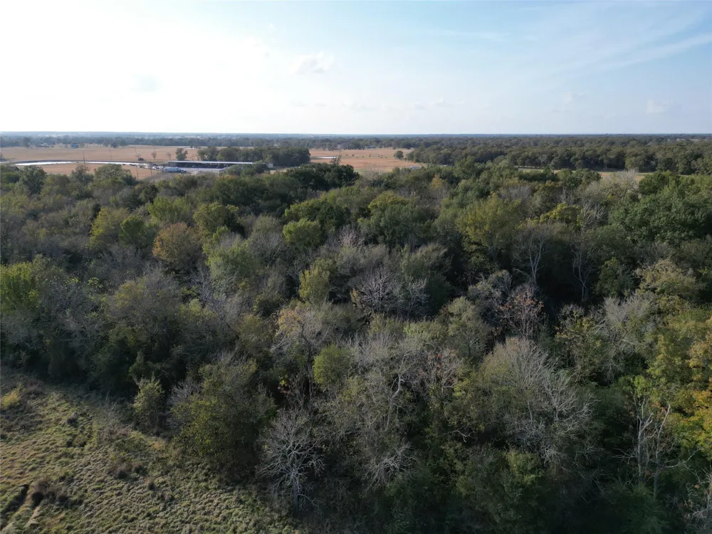 10 Mustang Loop Madisonville, TX 77864