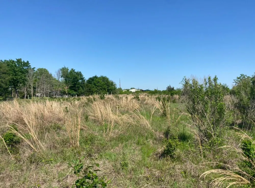 10 Mustang Loop Madisonville, TX 77864