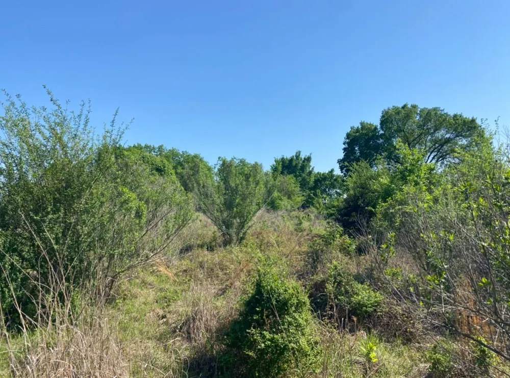 10 Mustang Loop Madisonville, TX 77864