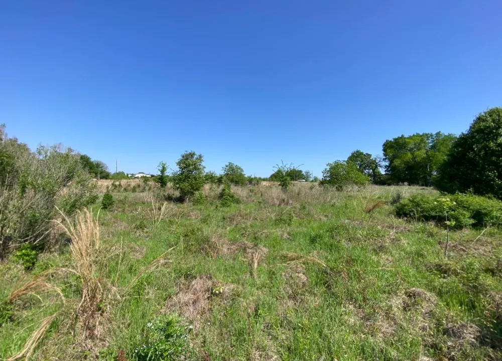 10 Mustang Loop Madisonville, TX 77864