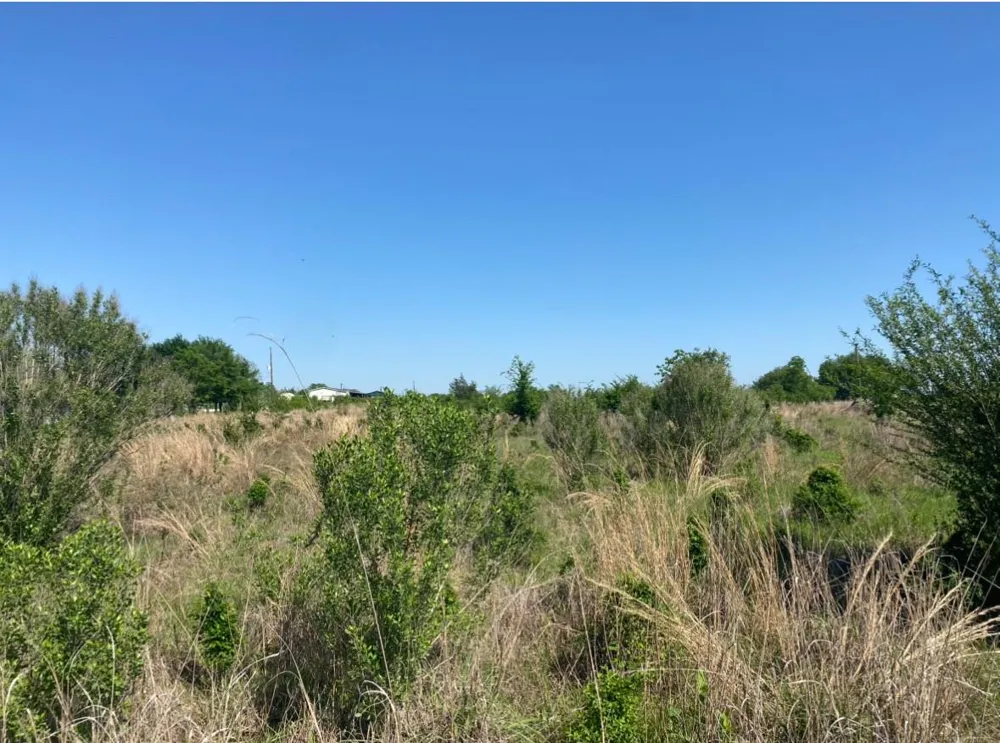 10 Mustang Loop Madisonville, TX 77864