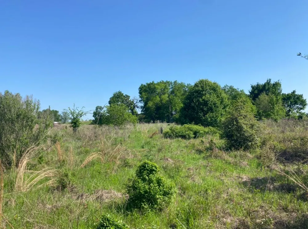 10 Mustang Loop Madisonville, TX 77864