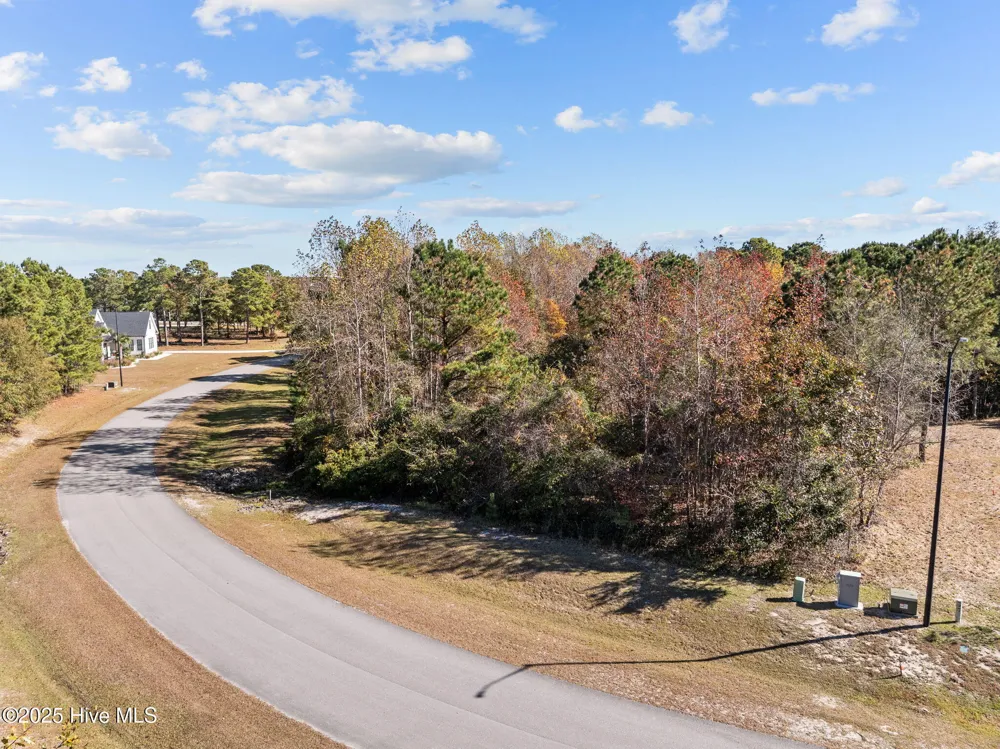 138 Royal Palms Way Holly Ridge, NC 28445