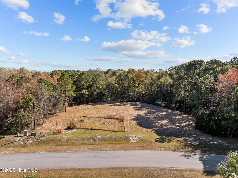 132 Royal Palms Way Holly Ridge, NC 28445