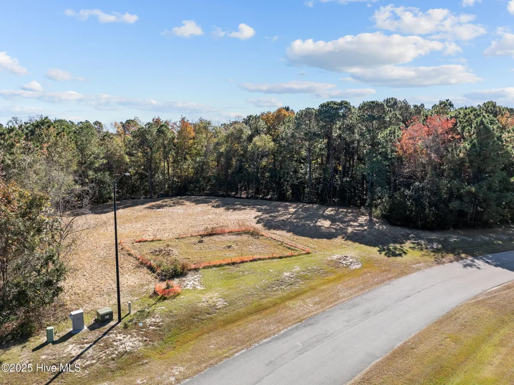 132 Royal Palms Way Holly Ridge, NC 28445