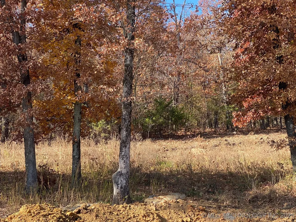 704 Woodlands Drive Tahlequah, OK 74464