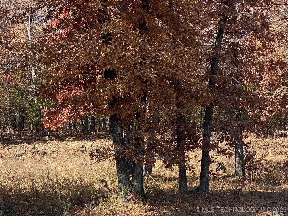 704 Woodlands Drive Tahlequah, OK 74464