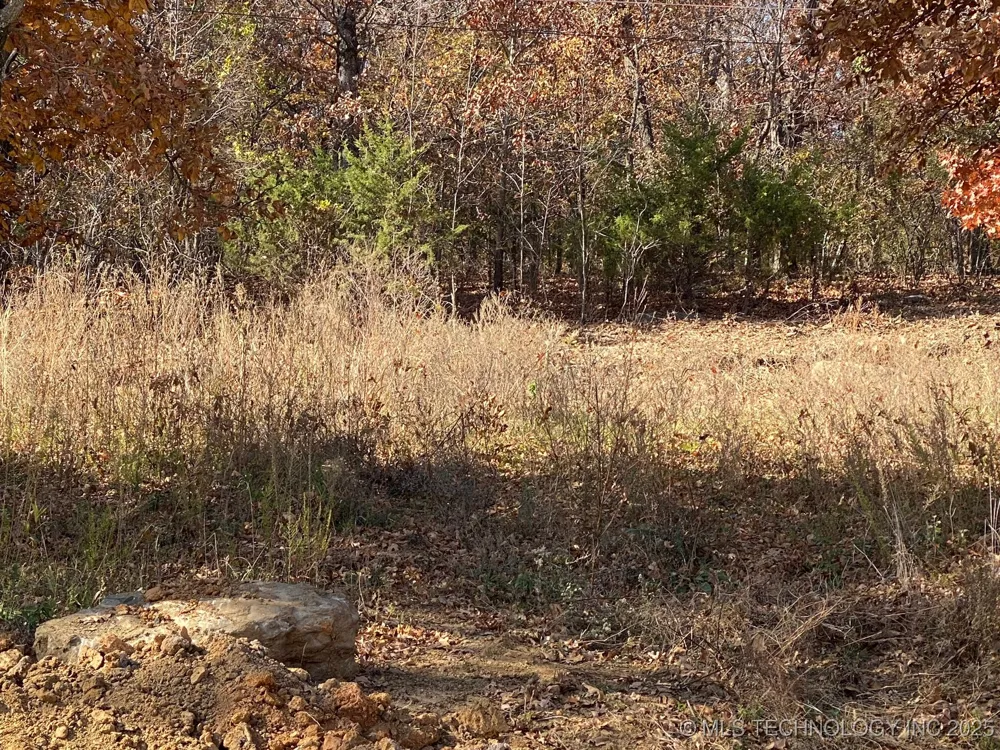 704 Woodlands Drive Tahlequah, OK 74464