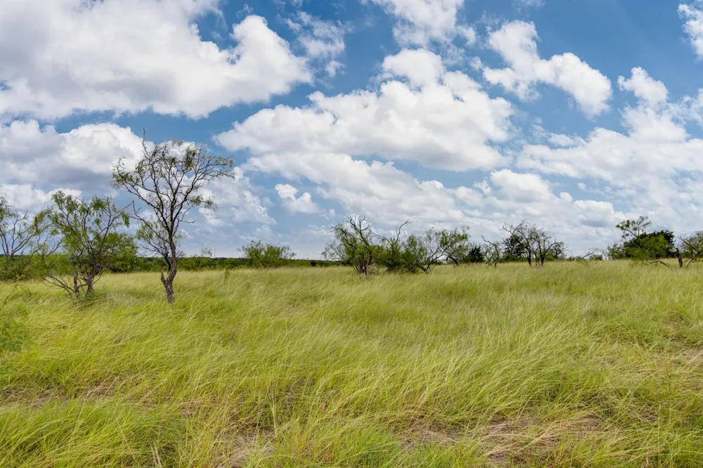 12 PR 350 Hubbard, TX 76648
