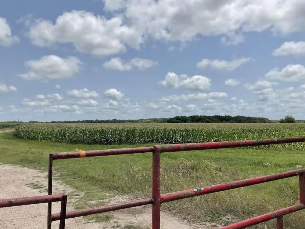 Fm-616 Blessing, TX 77419