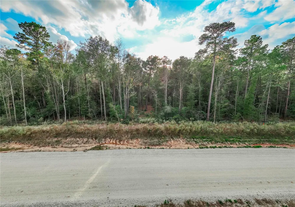 134 Splendid Road New Waverly, TX 77358