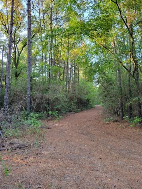 Honeylocust Lane