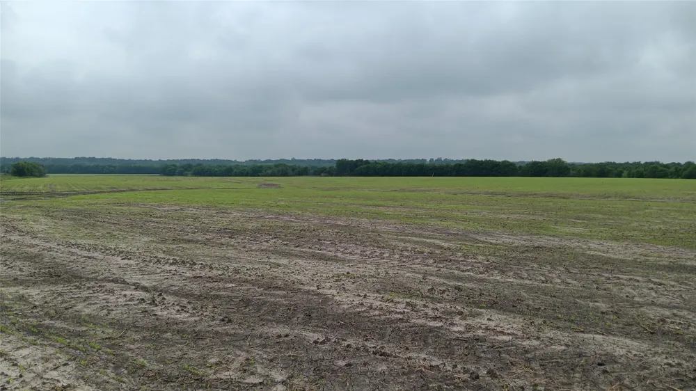 CR494 N Chilton, TX 76632