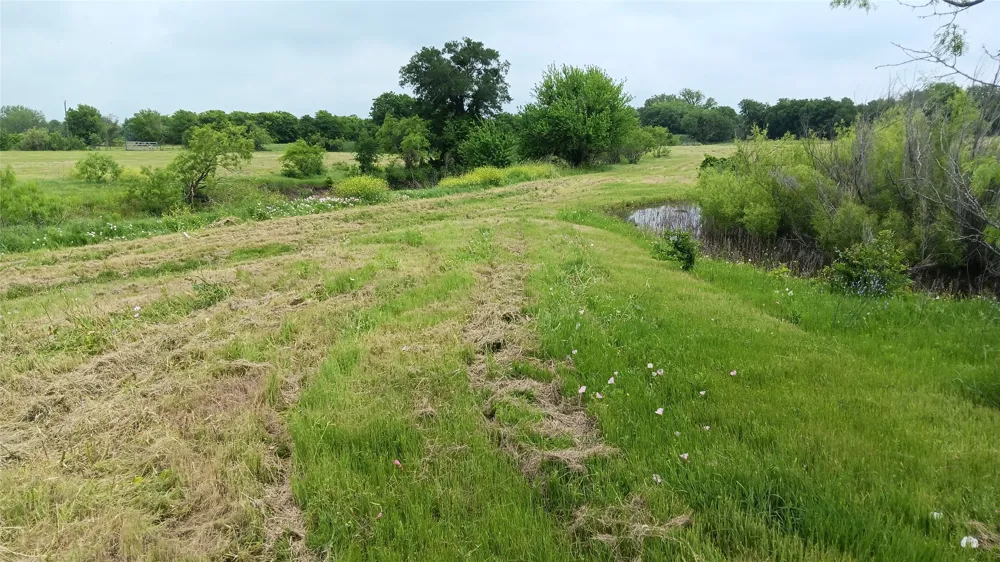 Hwy  7 Chilton, TX 76632
