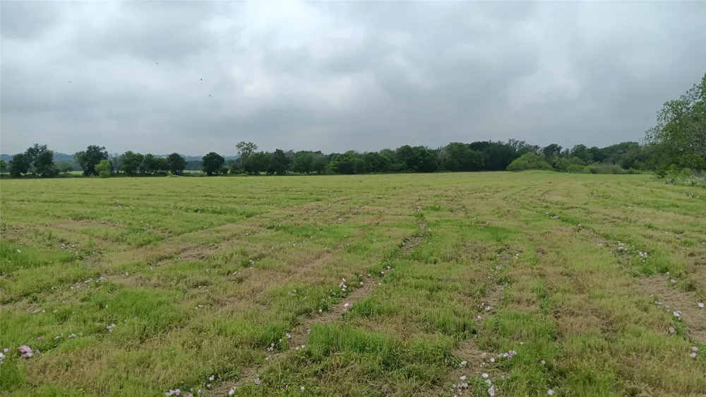 Hwy  7 Chilton, TX 76632