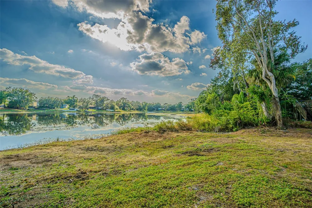 12510 FOREST HILLS DRIVE Tampa, FL 33612