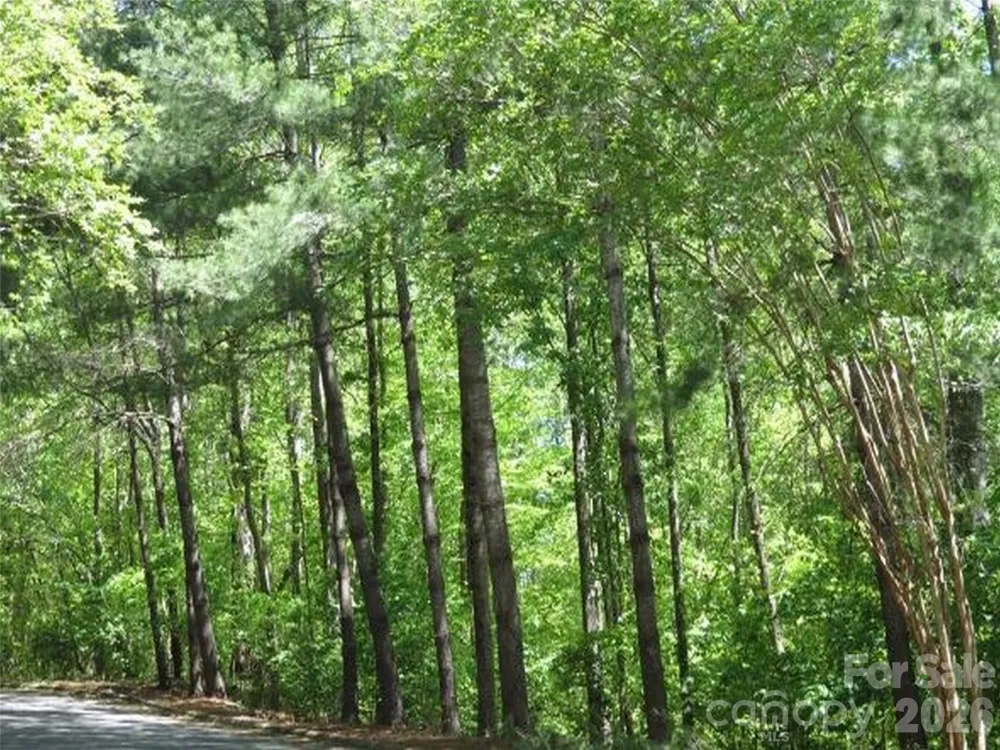 0 General Griffith Circle #25 Rutherfordton, NC 28139