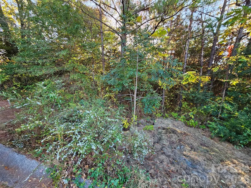 0 General Griffith Circle #25 Rutherfordton, NC 28139