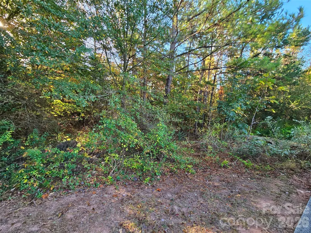 0 General Griffith Circle #25 Rutherfordton, NC 28139