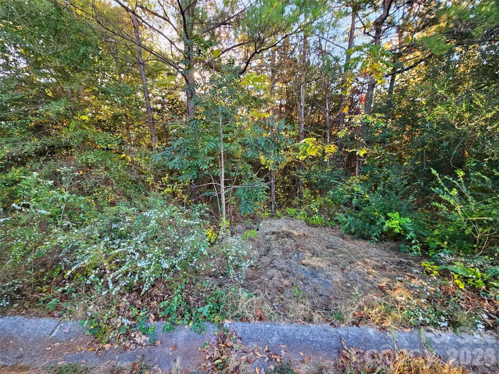 0 General Griffith Circle #25 Rutherfordton, NC 28139