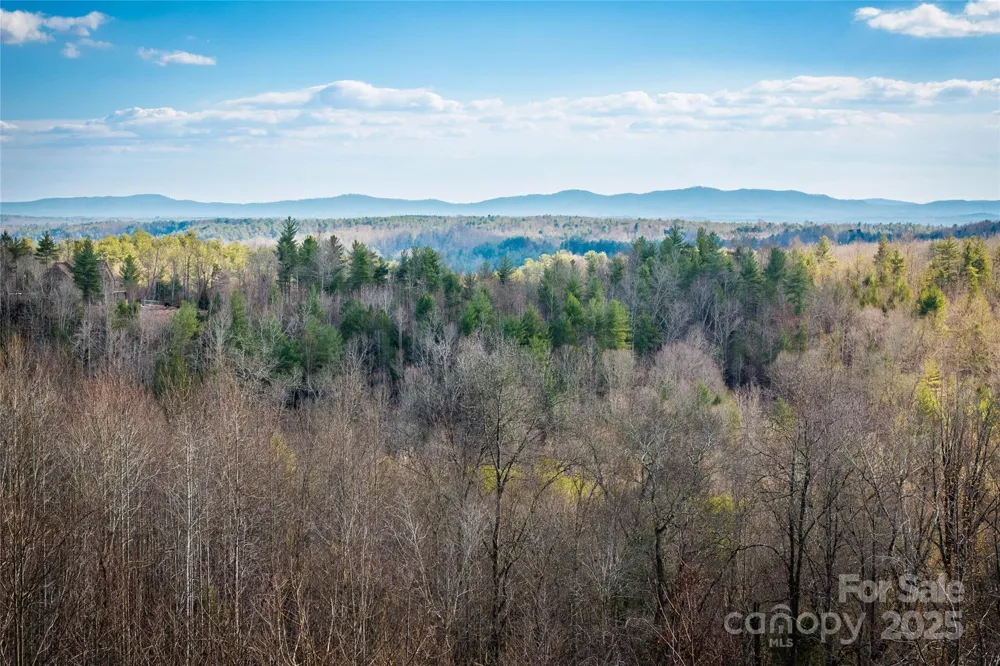 1030 River Club Ridge Lenoir, NC 28645