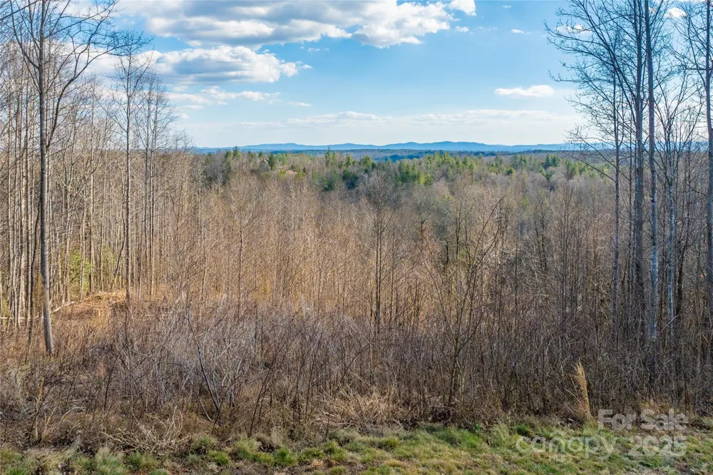 1030 River Club Ridge Lenoir, NC 28645