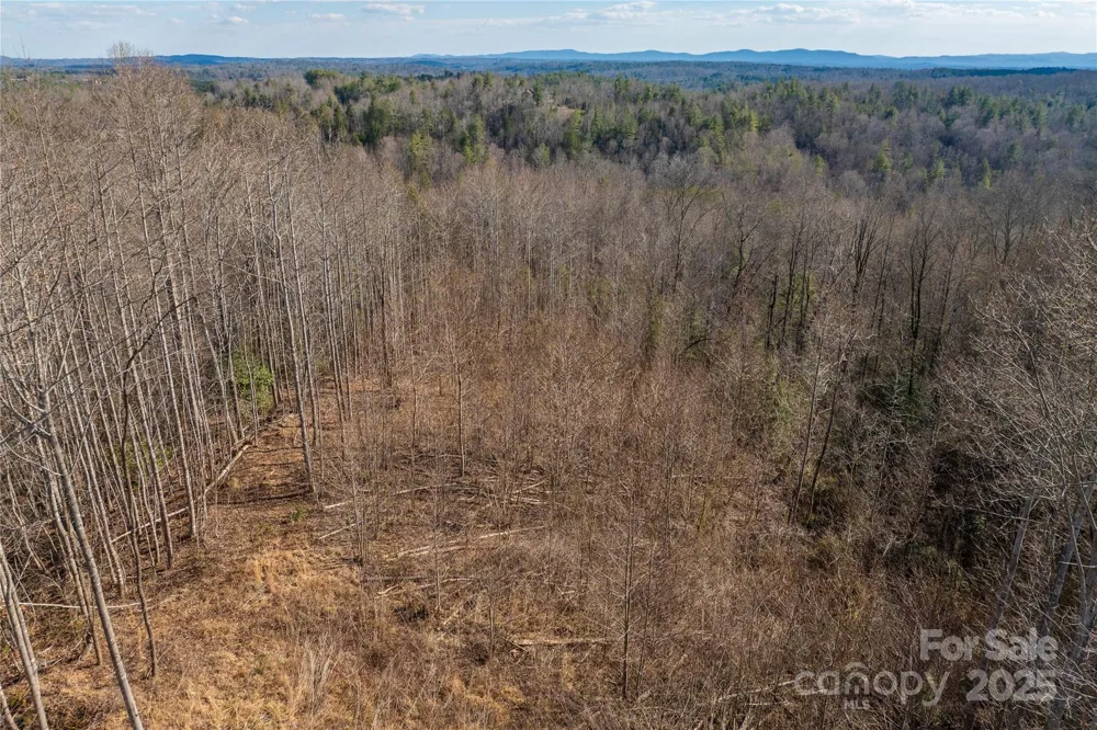 1030 River Club Ridge Lenoir, NC 28645