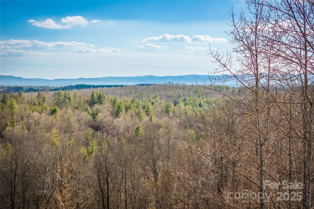 1030 River Club Ridge Lenoir, NC 28645