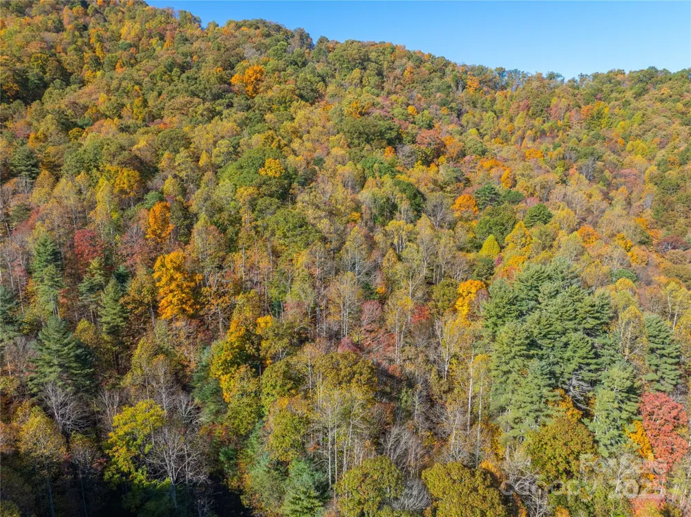 999 Cullisia Road Bryson City, NC 28713