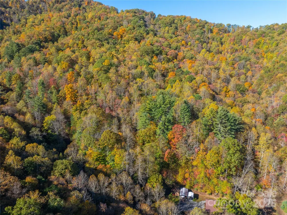 999 Cullisia Road Bryson City, NC 28713