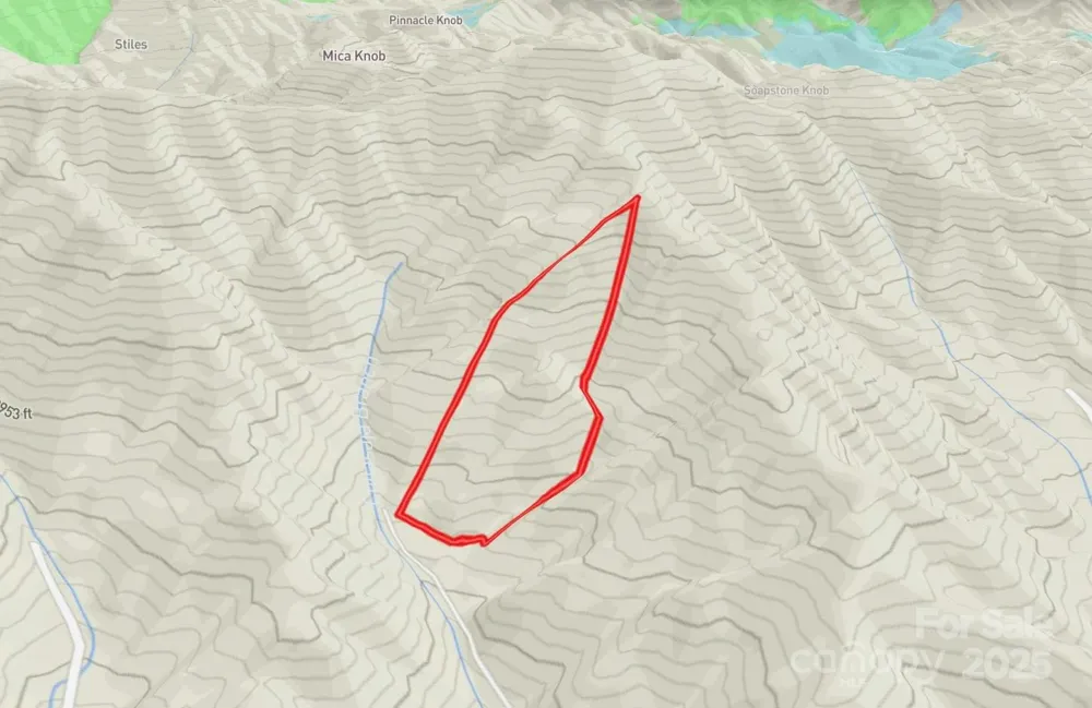 999 Cullisia Road Bryson City, NC 28713