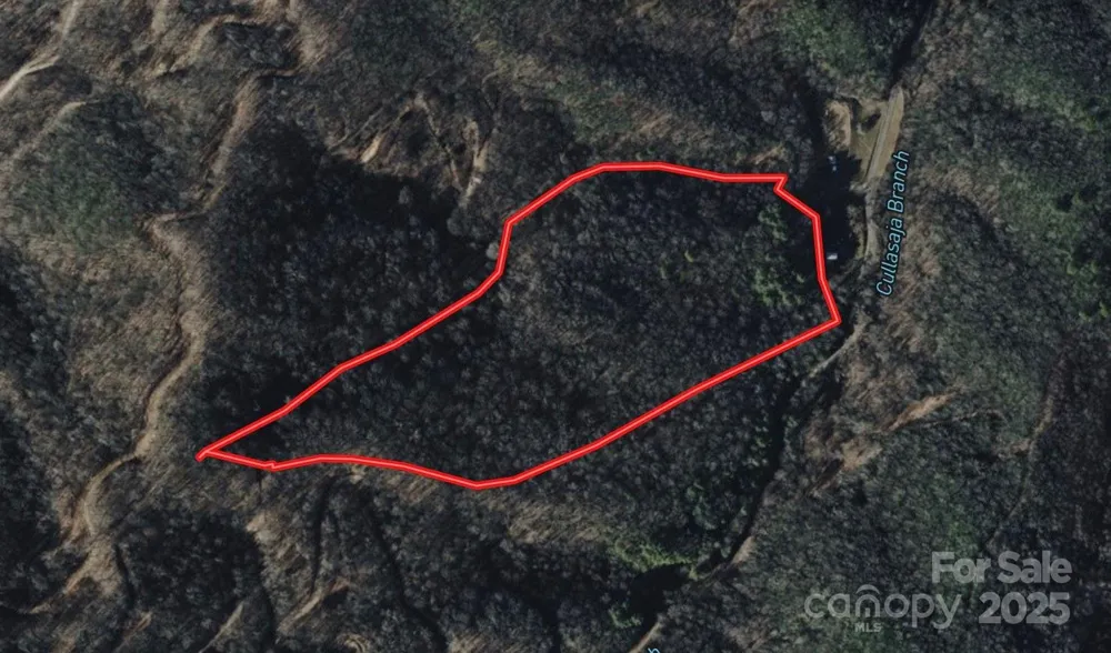 999 Cullisia Road Bryson City, NC 28713