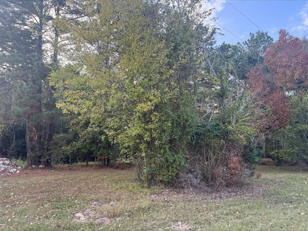 Silver Hickory Drive Coldspring, TX 77331
