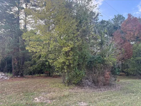 Silver Hickory Drive