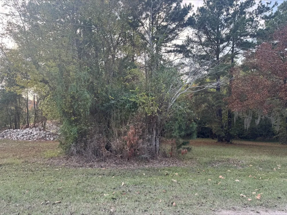 Silver Hickory Drive Coldspring, TX 77331
